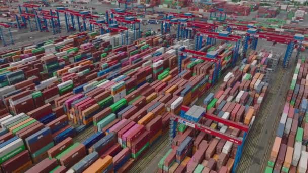 Forwards Fly Rows Stacked Naval Containers Harbour Logistic Terminal Intermodal — Stock video