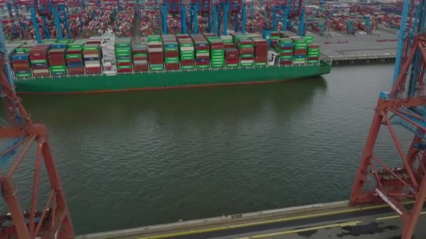 Forwards Fly Harbour Tilt Reveal Huge Cargo Ship Rows Colour — Stock video