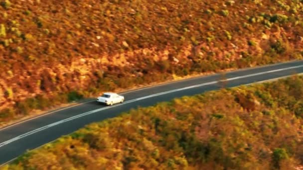 Воздушные Кадры Движения Автомобиля Дороге Окружении Растительности Красочная Природа Золотой — стоковое видео