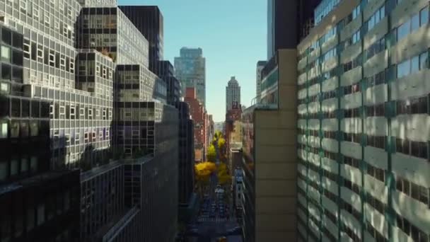Grands Immeubles Bureaux Appartements Ville Journée Ensoleillée Automne Dans Une — Video