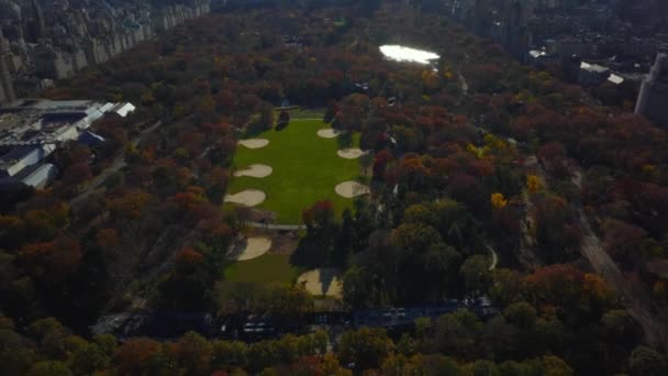 Vista Ángulo Alto Los Campos Softbol Gran Césped Central Park — Vídeos de Stock