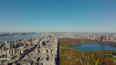 Şehirde güneşli bir sonbahar günü. Forvetler renkli Central Park 'ın ve şehir merkezinin üzerinde uçuyor. Manhattan, New York City, ABD.