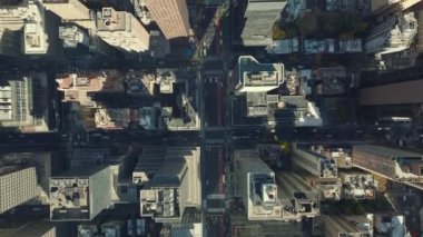 Kuşlar tepeden aşağı bakıyor. Normal cadde ve yüksek binaların görüntülerini izliyorlar. Manhattan, New York City, ABD.