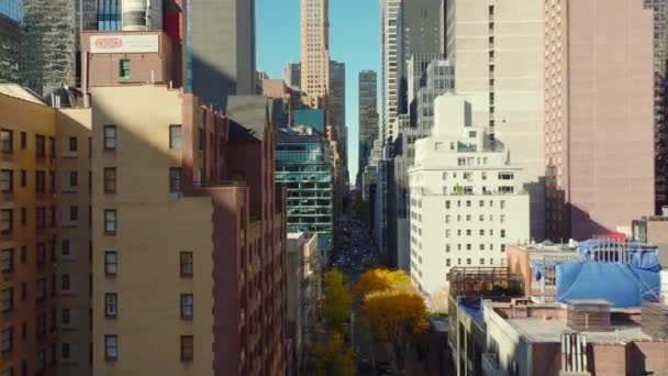 Fremad Flyver Mellem Højhuse Byen Efterårsfarvetræer Manhattan New York City – Stock-video