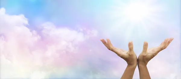 Şifa Web sitesi banner