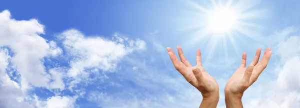 eller Web sitesi başlık şifa