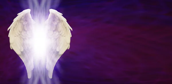 Púrpura Matriz y Angel Wings Banner — Foto de Stock