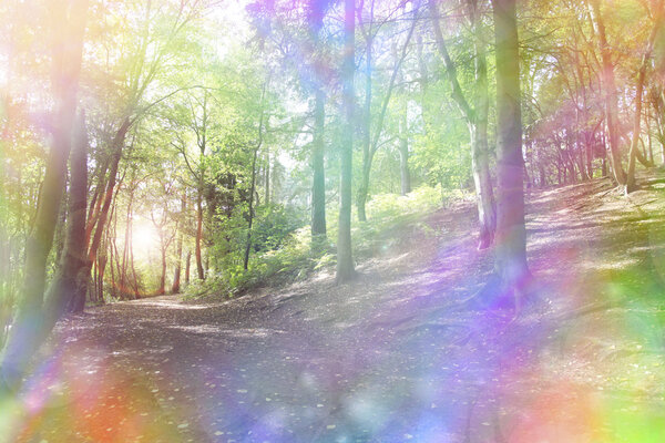 Woodland path and light shining through trees with a fantasy rainbow aura