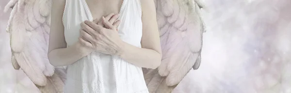 Banner do site Angel — Fotografia de Stock