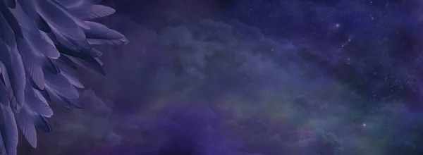 暗い羽と暗い夜空の背景バナー メッセージのためのコピースペースと暗い天体の深い宇宙背景に対して左隅に長い薄い深い紫色の羽 — ストック写真