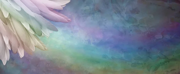 素朴な虹の背景バナーの虹の羽 メッセージのためのコピースペースと多色の素朴な背景に対して左隅に長い薄いパステル着色の羽 — ストック写真
