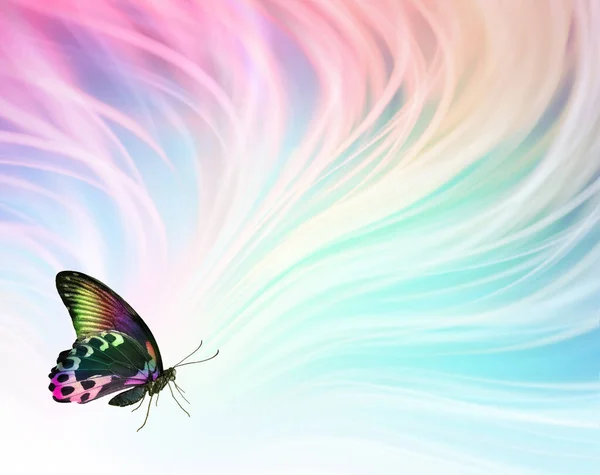 カラフルな蝶のメッセージの背景 — ストック写真