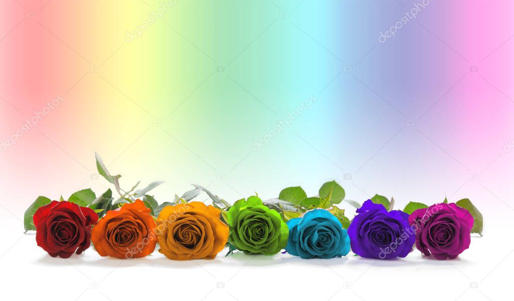Colour Healing Therapy concept background message banner - pale graduated rainbow coloured background with red orange yellow green blue indigo magenta coloured row of roses                               