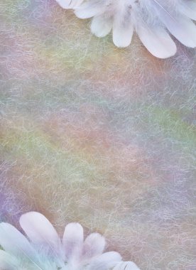 Ruhani Şamanik pastel kırsal arkaplan - sertifika, ödül, davetiye ya da diploma için ideal boşlukla sol üst ve karşı köşeye dizilmiş yumuşak kıvırcık tüyler 