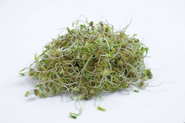 Büyük, lezzetli, besleyici taze mercimek yığını. Beyaz arka planda izole edilmiş taze yetişmiş yeşil mercimek yığını. Her yerde mesajlar için fotokopi alanı var.