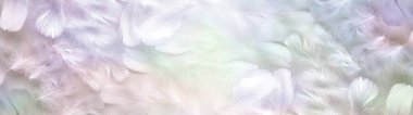 Güzel pastel renkli melek tüyü arka plan pankartı - geniş simetrik desenli soluk renkli tüyler ruhani bütünsel melek temalı bir reklam davetiyesi veya web sitesi afişi için ideal