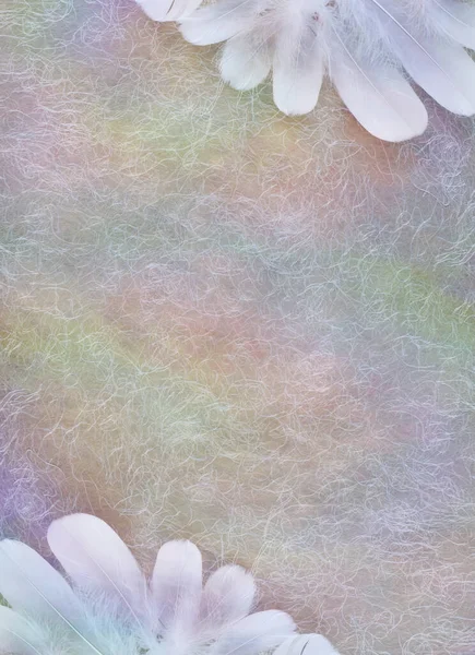 Spiritual Shamanic Pastel Rustic Feather Background Soft Curly Feathers Arranged — Stock Photo, Image