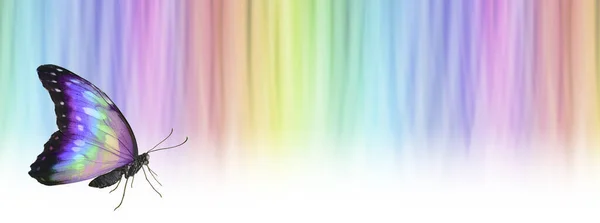Farbenfroher Spiritueller Regenbogenschmetterling Botschaft Hintergrund Banner Vertikale Lineare Graduierte Regenbogenfarben — Stockfoto
