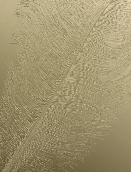 Golden embossed Ostrich Feather shimmering background - subtle gold coloured highly detailed single flat Ostrich feather with a slightly embossed effect