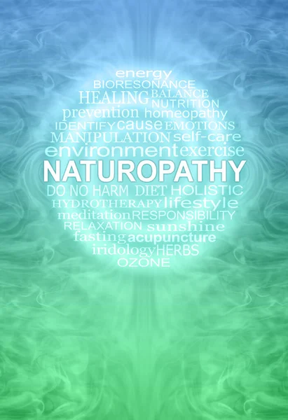 Naturopatia Parete Arte Parola Nube Circolare Naturopathy Spirale Tag Nube — Foto Stock