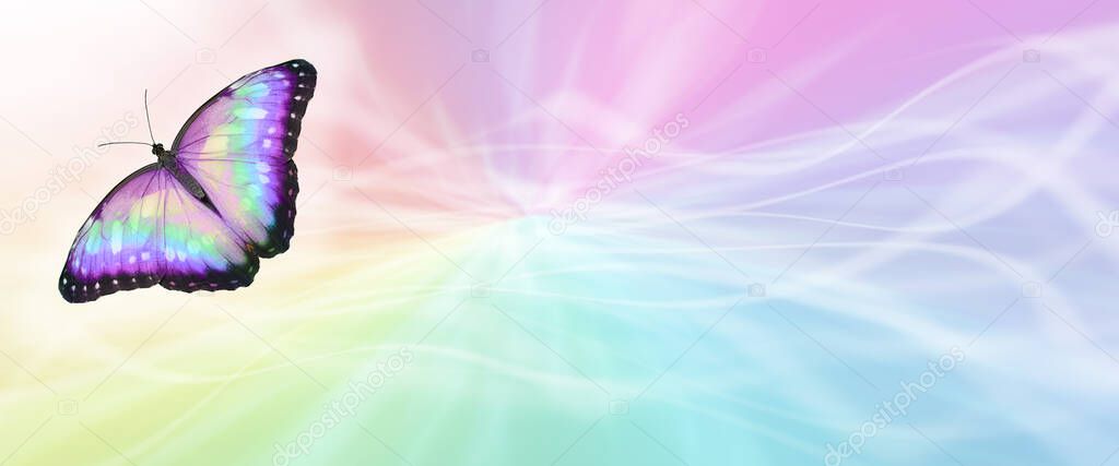 Beautiful Rainbow Butterfly message board background - streaming rainbow coloured   background with a rainbow coloured butterfly in left corner and copy space for messages 