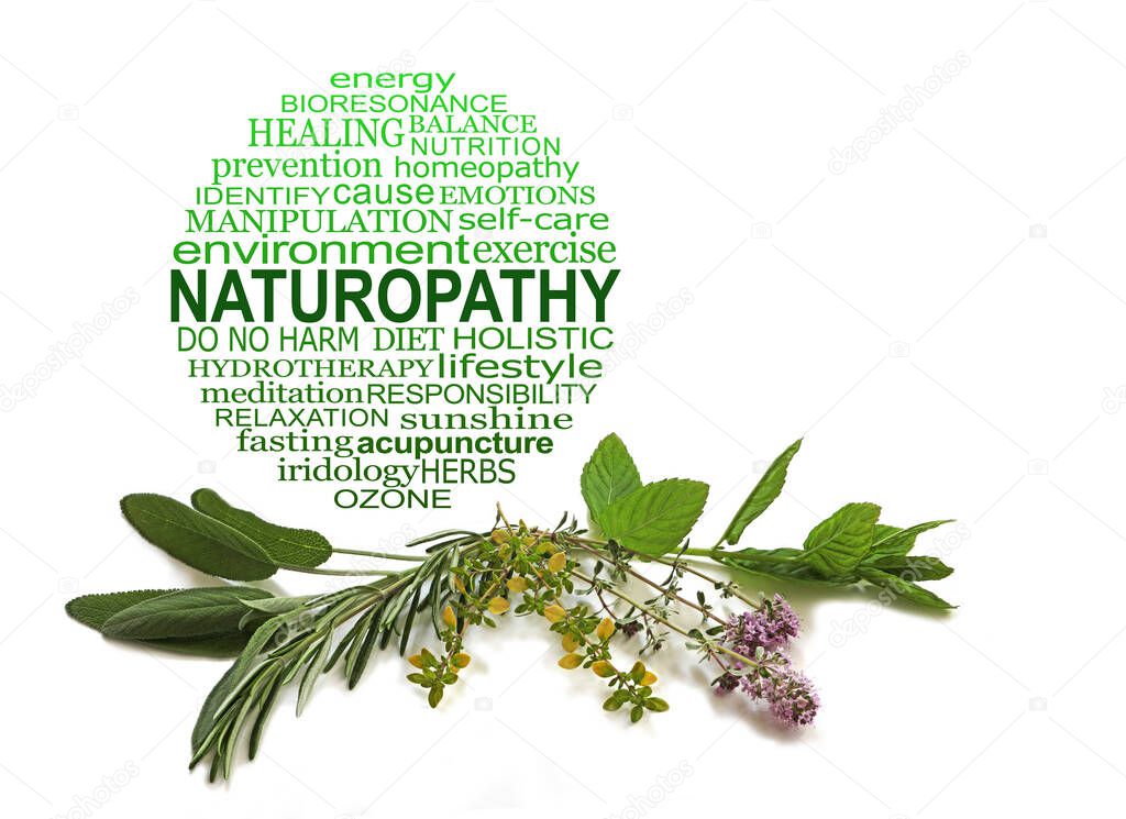 Naturopathy Word Circle Herbalist concept - circular word cloud in graduated green against a white background with four different culinary herbs neatly arranged below with copy space