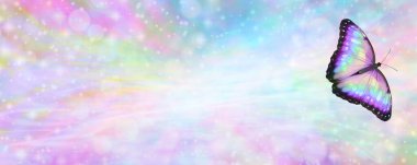 Dişi Çok Renkli Kelebek Mesaj Pankartı - güzel, renkli, renkli bir kelebek sağda geniş bir bokeh pastel arka plana doğru süzülüyor ve uzayı kopyalıyor