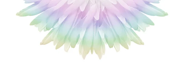 Spiritual Rainbow Feather Fan Header Circular Radiating Mulicoloured Fan Long — Fotografia de Stock