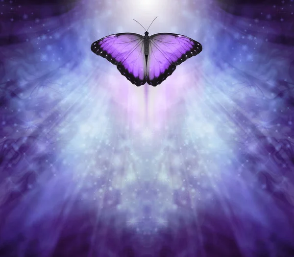 Butterfly Message Board Template Background Blau Lila Funkeln Symmetrischen Strahlenden — Stockfoto