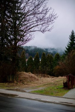 Şehirde yağmurlu bir gün. Sis ormana iniyor.