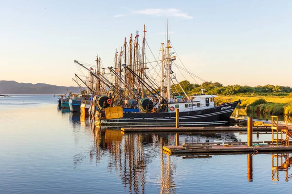 Obchodní Rybářské Lodě Přístavu Během Západu Slunce — Stock fotografie