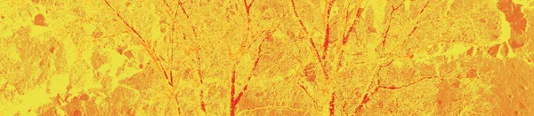 Abstract Geel Oranje Rood Kleuren Achtergrond Voor Ontwerp — Stockfoto