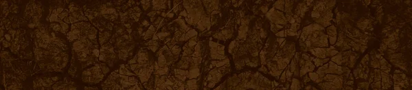 Tasarım Için Soyut Kahverengi Grunge Arkaplanı — Stok fotoğraf
