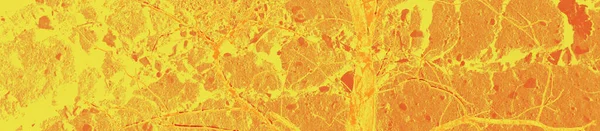 Abstrakt Gul Orange Och Röda Färger Bakgrund För Design — Stockfoto