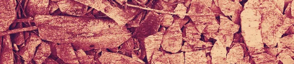 soyut menekşe ve burgundy renk arkaplanı.