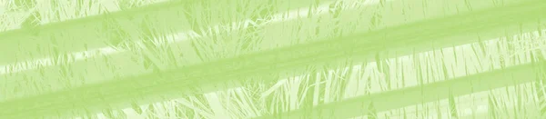 Abstrakt Ljusgrön Bakgrund Med Kopieringsutrymme För Design — Stockfoto
