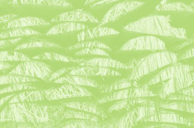 Tasarım için kopyalama alanı olan soyut açık yeşil arkaplan.