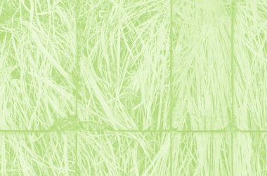 Tasarım için kopyalama alanı olan soyut açık yeşil arkaplan.