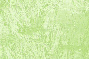 Tasarım için kopyalama alanı olan soyut açık yeşil arkaplan.