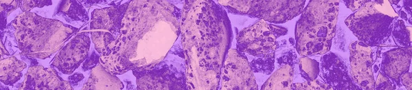 抽象的紫罗兰色 设计用粉色和紫色背景 — 图库照片