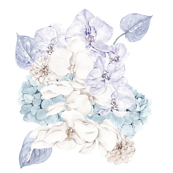 Υδατογραφία Εικονογράφηση Παστέλ Λουλούδια Χειμώνα Απομονώνονται Λευκό Φόντο — Φωτογραφία Αρχείου