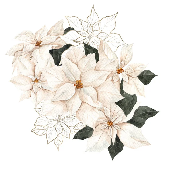 Aquarelillustratie Met Rode Witte Grafische Poinsettia Geïsoleerd Witte Achtergrond — Stockfoto