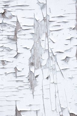 Eski ahşap ahşap döşeme ve soyulmuş boya.