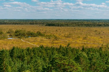 Orman ve bataklık üzerindeki hava manzarası. Beyaz bulutlu mavi gökyüzü, güzel manzara.