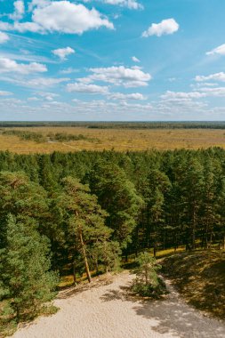 Orman ve bataklık üzerindeki hava manzarası. Beyaz bulutlu mavi gökyüzü, güzel manzara.