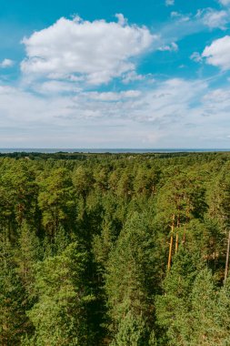 Orman ve bataklık üzerindeki hava manzarası. Beyaz bulutlu mavi gökyüzü, güzel manzara.