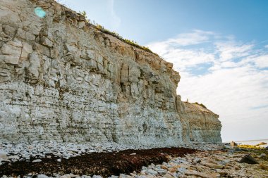 Güneşli bir günde Estonya, Saaremaa 'daki Panga uçurumu. Batı Estonya 'daki en yüksek kaya çıkıntısı Baltık Denizi kıyısında.