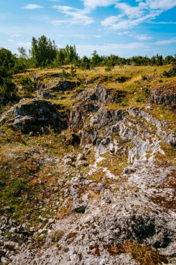 Estonya 'nın Muhu Adası' ndaki Uugu kayalığı ya da uçurumu, Baltık Denizi 'nin yanında ve Saaremaa adası yakınlarında. Güzel güneşli bir gün, mavi gökyüzü, beyaz bulutlar, orman ve deniz kenarındaki taş uçurumlar.