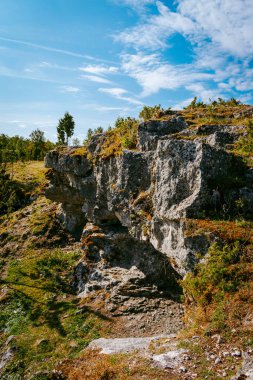 Estonya 'nın Muhu Adası' ndaki Uugu kayalığı ya da uçurumu, Baltık Denizi 'nin yanında ve Saaremaa adası yakınlarında. Güzel güneşli bir gün, mavi gökyüzü, beyaz bulutlar, orman ve deniz kenarındaki taş uçurumlar.