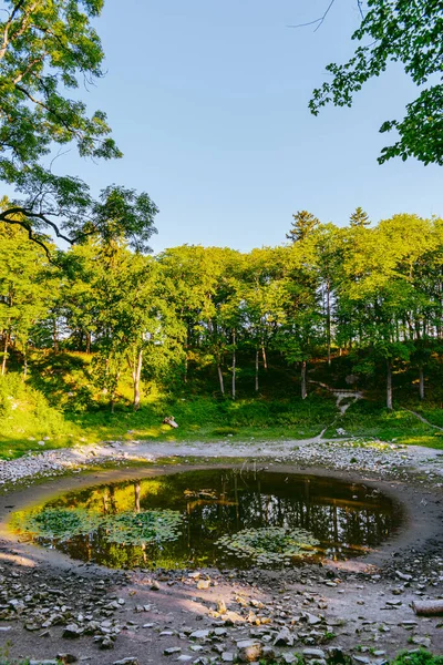 Campo Kaali Crateras Meteoritos Saaremaa Estônia Durante Manhã Verão Ensolarada — Fotografia de Stock